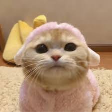 Javerea Khan's avatar