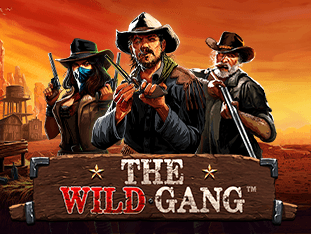The Wild Gang game thumbnail