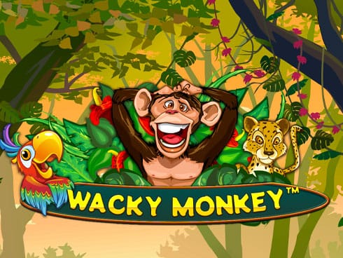 ویکی منکی game thumbnail